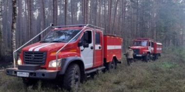 В Псковской области сократилось количество лесных пожаров - 2022-10-07 13:05:00 - 2