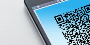 В ПсковГУ рассматривается возможность введения QR-кодов для посещения вуза - 2021-11-15 12:05:00 - 2