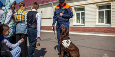 Исполняется 27 лет со дня основания кинологической службы в составе МЧС России - 2023-06-20 12:35:00 - 2