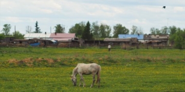 «Дачную амнистию» в России продлят до 2031 года - 2021-08-30 19:30:00 - 2