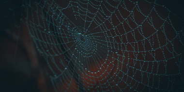 Борьбу с пропагандой наркотиков в интернете могут усилить - 2023-04-02 16:00:00 - 2