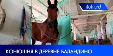 Конюшня в Баландино как место для летнего отдыха с семьей - 2021-08-10 18:00:00 - 2