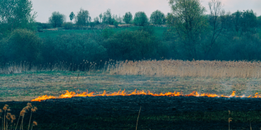 За поджог сухостоя хотят ввести уголовную ответственность - 2023-06-21 19:35:00 - 2
