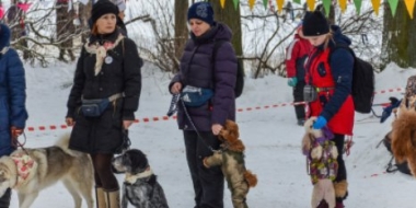 Дог-Шоу пройдет в Великих Луках 6 марта - 2022-03-03 14:05:00 - 2