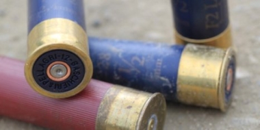 Двое печерян подозреваются в незаконном сбыте обреза ружья с патронами - 2021-06-02 13:12:00 - 2