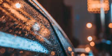 Грозы и ливни в Псковской области обещают сегодня синоптики - 2023-08-02 11:05:00 - 2