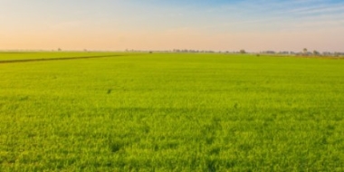 В Великих Луках сдается участок для индивидуального жилищного строительства - 2021-06-15 14:43:00 - 2