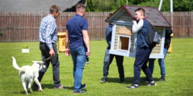 Благотворительный фестиваль в помощь бездомным животным прошёл в Порхове - 2021-06-06 19:00:00 - 2