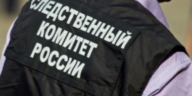 В Пскове установлена подозреваемая в убийстве новорожденного ребенка - 2021-11-16 09:05:00 - 2