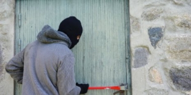 В Псковском и Новосокольническом районах обокрали сельхозпредприятия - 2021-07-26 15:54:00 - 2