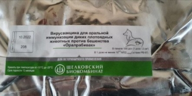 В Псковской области будут прививать от бешенства диких животных - 2022-10-28 11:35:00 - 2