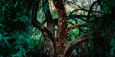 Существует ли Лукоморье, узнают участники квеста в Дни Пушкинской поэзии - 2024-05-29 09:05:00 - 3