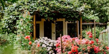 Порядок присоединения садоводств к населённому пункту разработают в регионе - 2024-04-30 13:05:00 - 2