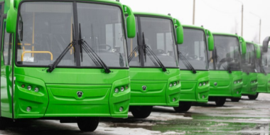 Еще 15 новых пассажирских прибыли в Псковскую область - 2024-01-31 08:35:00 - 2