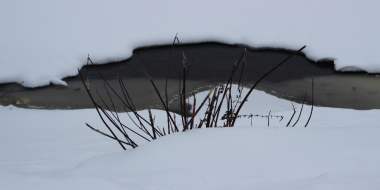 Псковская область подготовилась к паводкам - 2023-03-15 08:35:00 - 2