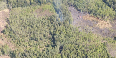 3 лесных пожара произошло за истекшие сутки на территории Псковской области - 2023-05-11 15:05:00 - 2