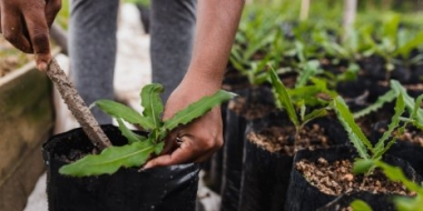 Эксперты обсудили аграрную науку и образование - 2021-12-18 15:00:00 - 2