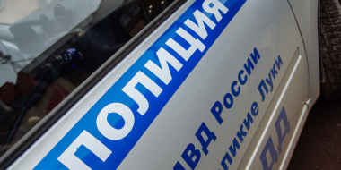 В Великих Луках раскрыта кража из автомобиля - 2023-02-27 12:35:00 - 2