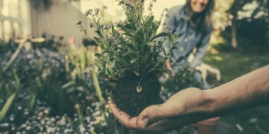 Участники акции «Сад памяти» в Псковской области высадили пять тысяч растений - 2021-06-29 09:31:00 - 2