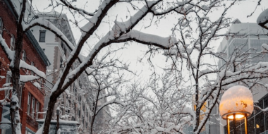 Мокрый снег сегодня ожидается в Псковской обалсти - 2024-04-03 16:01:00 - 2