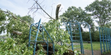 В Великих Луках убирают деревья, которые вчера рухнули на детскую площадку школы - 2021-05-19 12:02:00 - 2