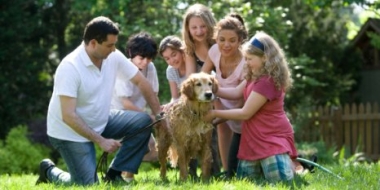 Родители 20 млн детей получили президентские школьные выплаты - 2021-08-28 13:04:00 - 2