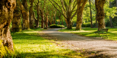 Более 80 территорий Псковской области участвуют в голосовании ФКГС - 2023-04-17 16:35:00 - 2