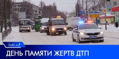 В День памяти жертв ДТП в Великих Луках прошли акции отдела ГИБДД - 2022-11-22 13:05:00 - 2