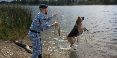 Обитателям псковского приюта «Шанс» привезли подарки - 2023-08-07 16:35:00 - 2