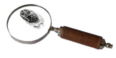 В Великих Луках раскрыта кража телефона - 2021-09-17 17:13:00 - 2