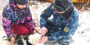 Сотрудники УФСИН навестили четвероногих жителей зооприюта «Невельские хвостики» - 2023-04-04 15:05:00 - 2