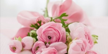 Глава Пскова поздравляет медицинских работников с профессиональным праздником - 2021-06-16 13:56:00 - 2