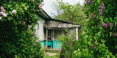 Великолучане могут проголосовать за подключение деревень к интернету - 2023-07-22 17:05:00 - 2