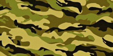 Военным комиссариатом Псковской области проводится набор граждан - 2021-08-06 10:55:00 - 2