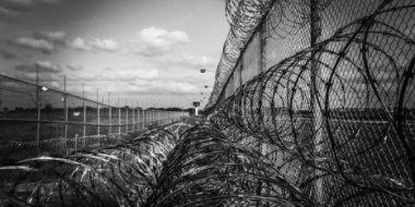 Житель Опочецкого района осужден за торговлю марихуаной - 2021-05-18 10:32:59 - 2