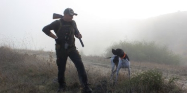 Минприроды доработало документ, регулирующий охотничьи ресурсы - 2021-05-16 15:00:00 - 2