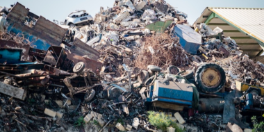 Свалка горючих отходов ликвидирована в Гдовском районе - 2023-08-18 19:35:00 - 2