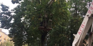 На площади Рокоссовского в Великих Луках проводится формировка деревьев - 2021-09-09 16:32:00 - 2