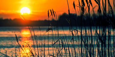 На берегу Чудского озера пройдет фестиваль «Наше море» - 2023-07-25 13:35:00 - 3