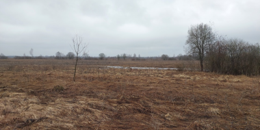 В Великолукском районе выявлена несанкционированная свалка - 2024-04-26 10:35:00 - 2