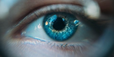 Ученые обнаружили степень влияния зрения на восприятие речи - 2021-09-11 13:00:00 - 2