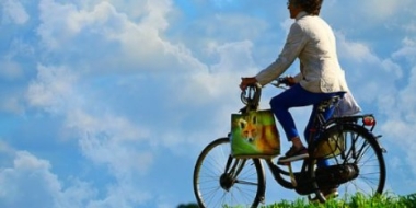 Кража велосипеда раскрыта в Великих Луках - 2021-07-09 15:13:00 - 2