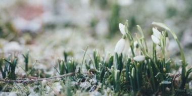 Названы примерные даты прихода весны в европейскую часть России - 2022-02-02 19:30:00 - 2