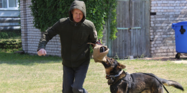 Открылась первая смена в лагере «Юный спецназовец» - 2023-06-02 12:05:00 - 2