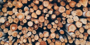 В Псковском районе открылся завод по лесопереработке - 2021-06-10 15:13:00 - 2