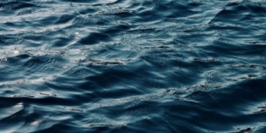 Три человека утонули в Псковской области в выходные - 2021-06-21 14:08:00 - 2