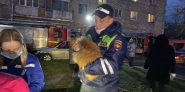 Псковские полицейские спасли на пожаре людей и домашнего питомца - 2021-04-30 11:13:00 - 2 Псковские полицейские спасли на пожаре людей и домашнего питомца - 2021-04-30 11:13:00 - 2