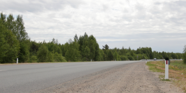 На Северном обходе Пскова установлены светоотражатели для отпугивания животных - 2023-06-01 08:35:00 - 2