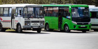 Возобновлено автобусное сообщение по маршруту «Великие Луки – Витебск» - 2024-03-06 14:35:00 - 2