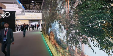 На ПМЭФ 2023 заключили соглашение о развитии фанерного завода в Плюссе - 2023-06-15 17:35:00 - 2